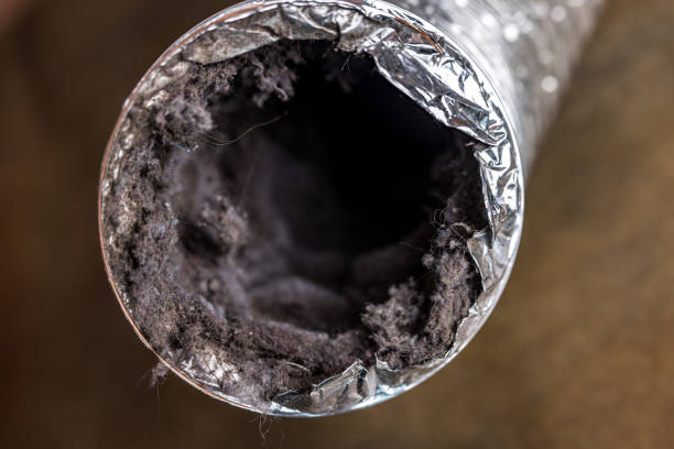 Best Air Duct Sanitizing Services  in Rugby, ND